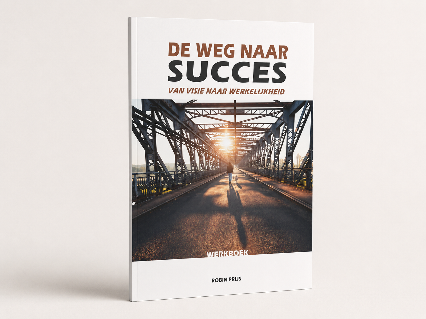 Boekcover De Weg naar Succes